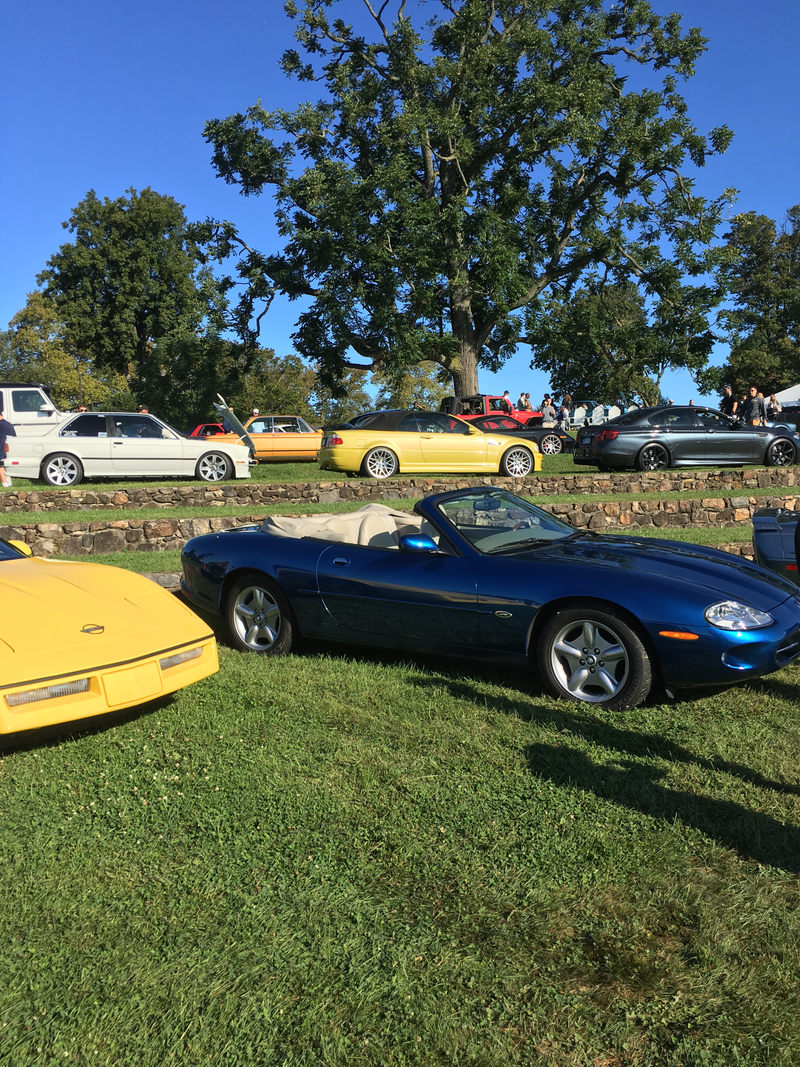 Radnor Hunt Concours 2017